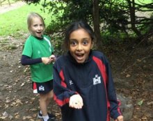 Living things and their habitats Living things and their habitats