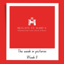 The Week in Pictures – Week 11