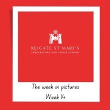 The Week in Pictures - Week 14 