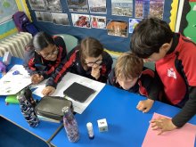 Curiosity Sparks in Science!