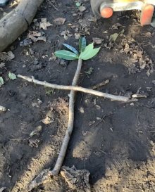 This week in Reception! This week in Reception!