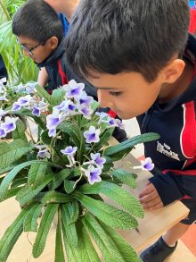 Into the Woods: Year 4’s Half Term of Curiosity, Collaboration and Conservation Into the Woods: Year 4’s Half Term of Curiosity, Collaboration and Conservation
