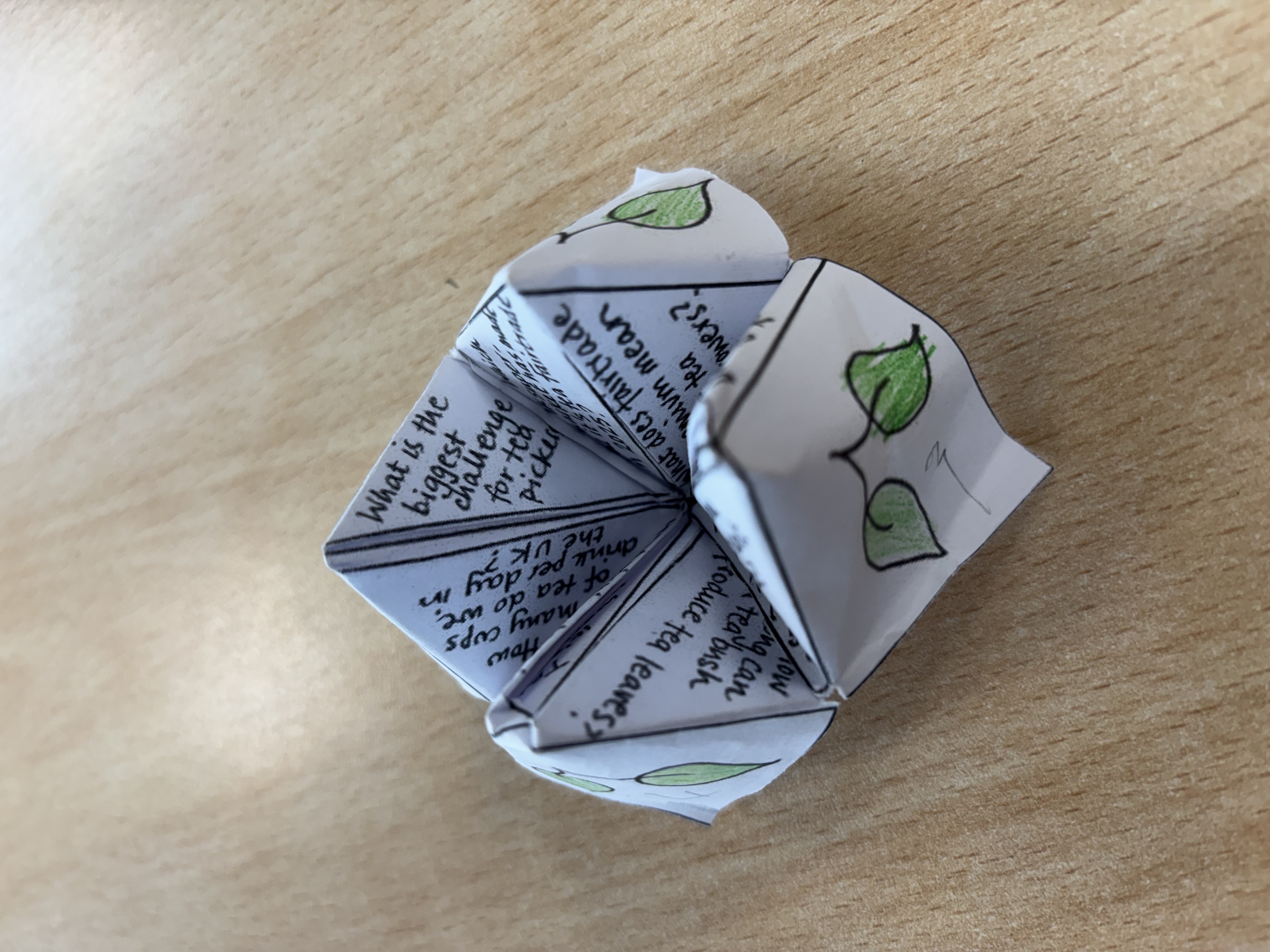 Year 5 Learning Highlights – This Week in the Classroom Year 5 Learning Highlights – This Week in the Classroom