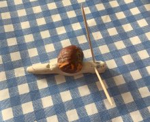 Lower School Learners Explore Nature and Dinosaurs Through Hands-On Discovery Lower School Learners Explore Nature and Dinosaurs Through Hands-On Discovery